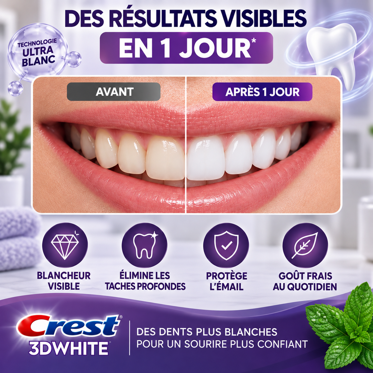 Dentifrice Quotidien